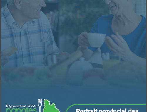 Portrait provincial des services alimentaires de maintien à domicile (2023)